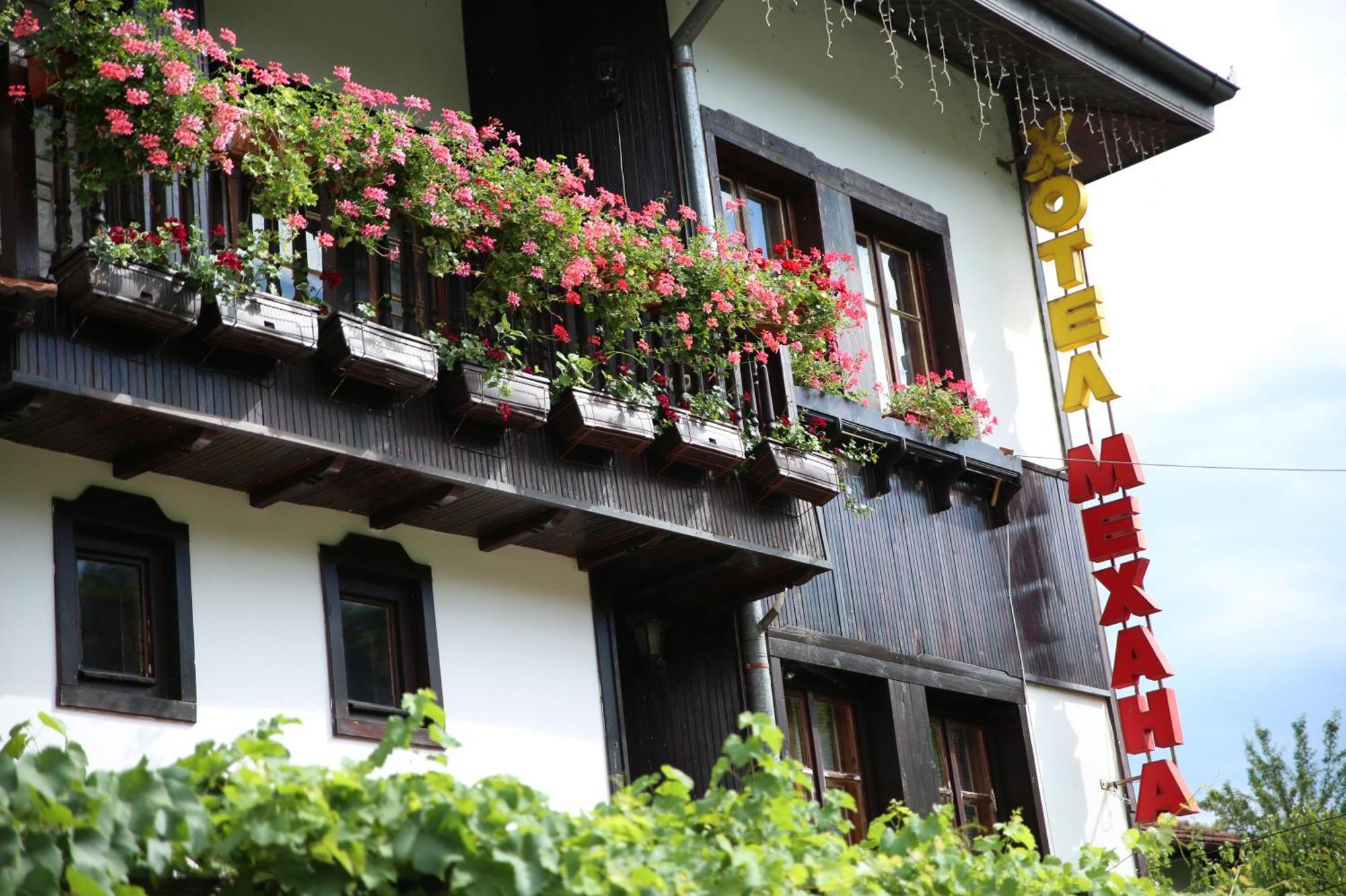 Oazis Family Hotel Łowecz Zewnętrze zdjęcie